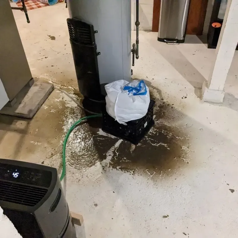 Sewage Backup Cleanup Service in Ringling, OK
